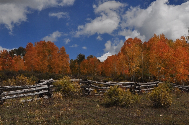 Big Al Trail with fall colors